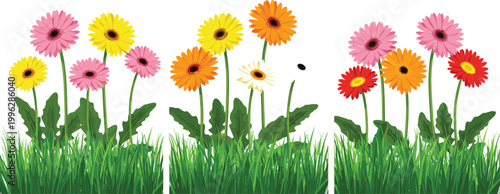 Colorful daisies in vibrant pink, yellow, and orange colors, growing in lush grass, vector illustration
