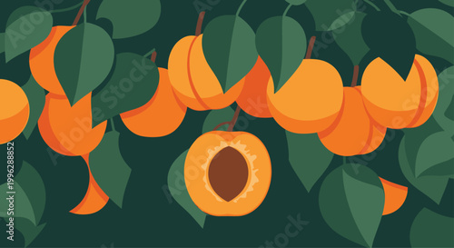 Ripe orange apricots with green leaves hang from branches in a beautiful orchard during a sunny summer harvest season.