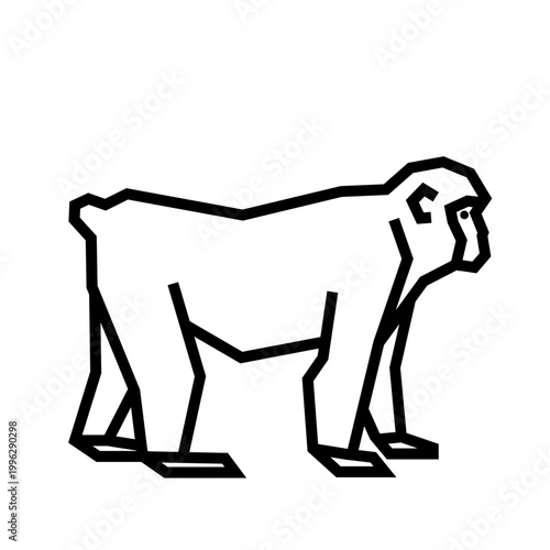 Japanese macaque