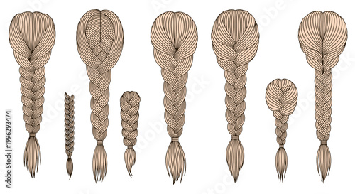 A vector graphic illustration of various sperm cells in different stages