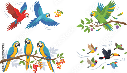 Colorful Parrot Vector Illustration Set with Macaw Birds in Flying and Perching Poses, Tropical Branches and Exotic Wildlife Elements for Nature Design