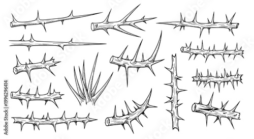 A collection of sharp thorns and barbs in a minimalist line art style