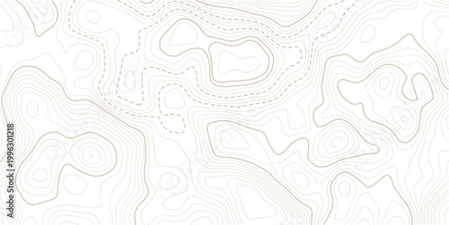 Light topographic topo contour map background. Geographic abstract grid. vector illustration.Luxury abstract Topographic line map.Pattern of contour lines.
