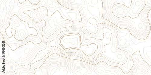 Light topographic topo contour map background. Geographic abstract grid. vector illustration.Luxury abstract Topographic line map.Pattern of contour lines.

