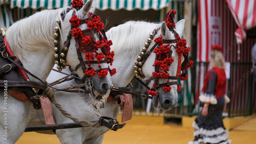 Obraz premium Caballos andaluces en la Feria de Sevilla