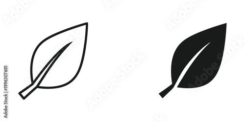 Contrasting illustration of a simple leaf in outline and solid black forms
