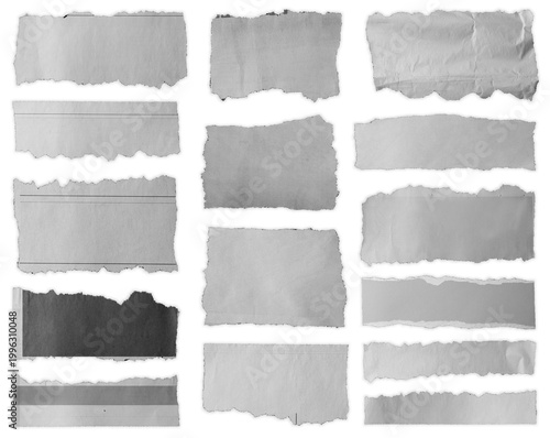 Fifteen torn pieces of paper isolated on white