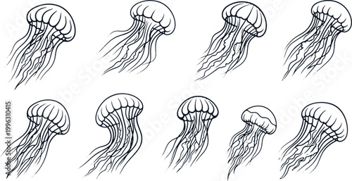 Set of eight jellyfish illustrations in linear style on transparent background.