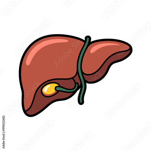 Liver cartoon illustration with green tube and yellow gallbladder