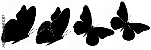 Group of butterfly silhouettes vector illustration. Collection of four black butterfly shapes in profile view. Isolated white background flying insects icons. Minimalist nature design elements.