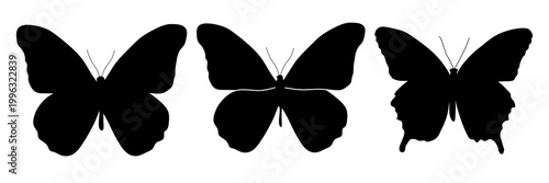 Set of butterfly silhouettes vector illustration. Collection of black butterfly shapes on isolated white background. Flying insects icons. Decorative nature design elements.
