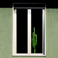 window with flowers