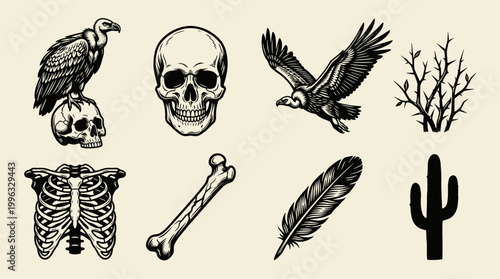 Vulture and Human Skull Linocut Illustration Set: Scavenger Bird, Bones, and Ribcage Graphics