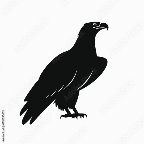 A bird eagle stands proudly on ground looking forward in daytime.