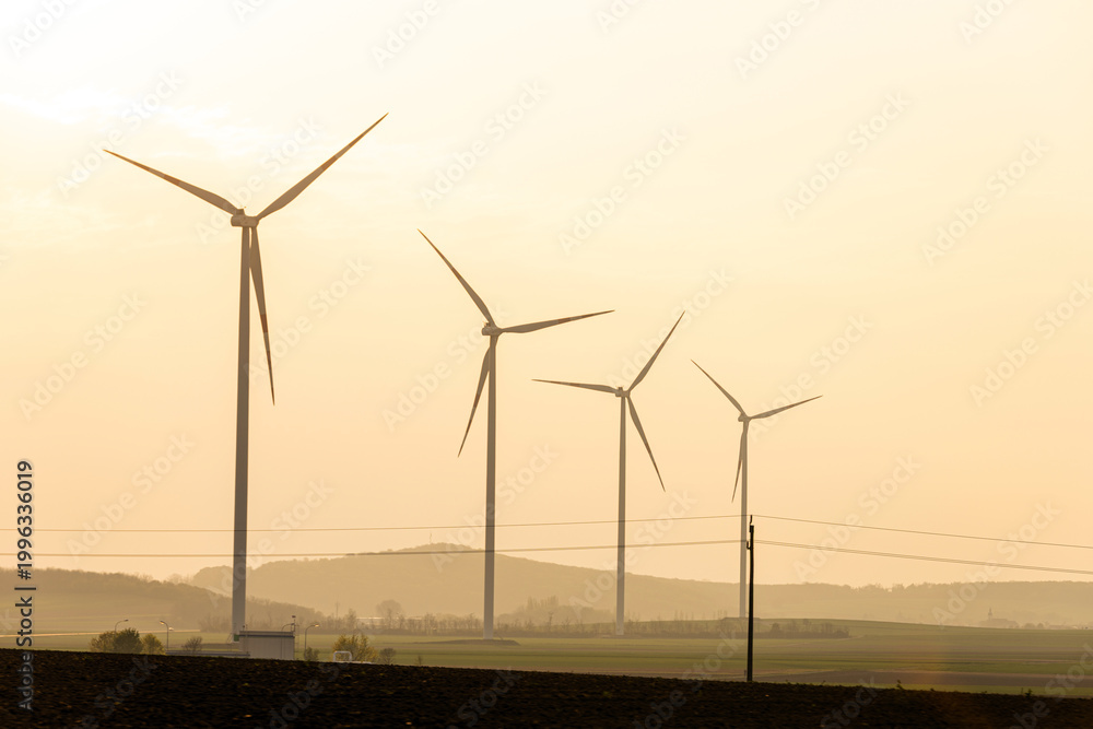 Fototapeta premium Wind turbines stand in a row against a soft sunset sky over a rural landscape