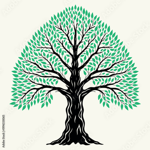Line art vector illustration of a detailed tree with spreading branches and foliage