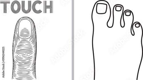 Touch sense concept with finger fingerprint and foot toes line art illustration isolated on white background