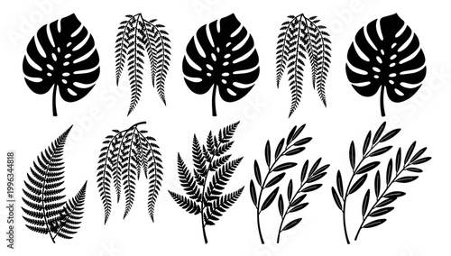 A minimalist depiction of a fern frond, perfect for backgrounds or adding a natural, organic element to designs. Evokes tranquility and simplicity.