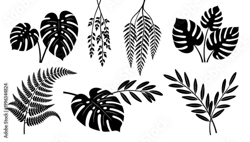 A striking black and white image of a fern frond, perfect for conveying themes of nature, growth, and tranquility. Ideal for minimalist designs and we