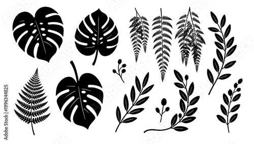 A minimalist, black fern silhouette against a white background evokes tranquility and natural beauty. Perfect for wellness branding, botanical designs