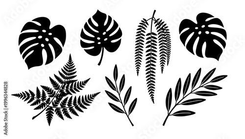 A minimalist image of a fern, ideal for backgrounds or conveying natural themes. Perfect for wellness, botanical, or design projects, evoking serenity