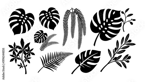 A minimalist black floral silhouette against a white background creates a sophisticated and calming mood. Ideal for website backgrounds, branding, or 