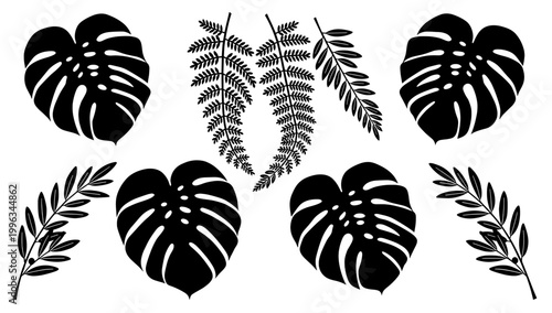 A minimalist, high-contrast image of an olive branch. Ideal for branding, websites, or artwork seeking a natural, peaceful, and sophisticated aestheti