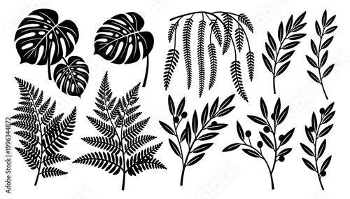 A striking black and white silhouette of a fern branch. Perfect for minimalist designs, nature-themed content, or adding an organic element to backgro