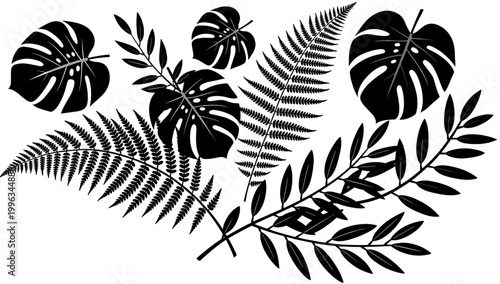 A minimalist image featuring a fern leaf silhouette against a clean white background. Perfect for botanical themes, wellness branding, or as a subtle 