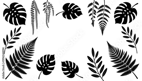 A striking black and white silhouette of fern leaves evokes a sense of natural serenity. Ideal for botanical designs, wellness branding, or minimalist