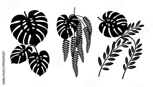 A striking black monstera leaf against a stark white background. Perfect for adding a touch of tropical elegance to websites, social media, or marketi