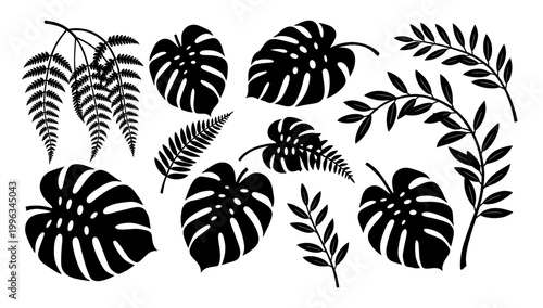 A striking minimalist image of a Monstera leaf. Perfect for adding a touch of natural elegance to branding, website backgrounds, or social media conte