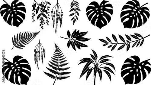 A striking black and white image of a monstera leaf, creating a bold and modern aesthetic. Ideal for backgrounds, website design, or tropical-themed p