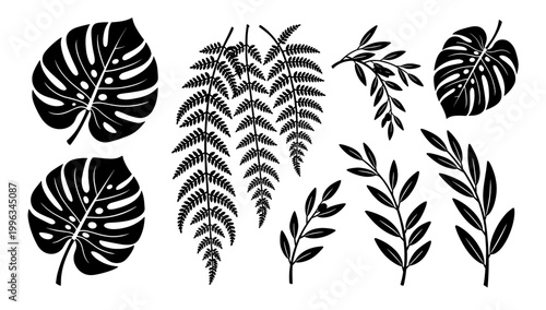 A striking black and white image of a monstera leaf. Ideal for minimalist designs, tropical themes, or adding a natural element to websites and brandi