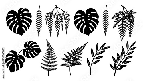 A striking black and white image of a monstera leaf, perfect for adding a touch of tropical elegance to designs or representing natural beauty in well