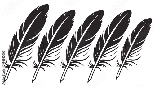 Vector illustration of a row of five black feathers in a minimalist graphic style isolated on white background