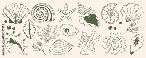 Sea shells collection with coral, starfish, laminaria seaweed, green outline doodle flat retro style. Hand drawn sketch nautical set for marine decor, summer branding, isolated on beige background