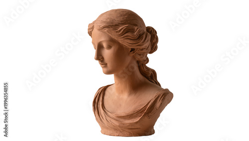Valokuva Terracotta bust of a classical woman with flowing hair, isolated on transparent
