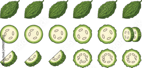 Set of Fresh Bitter Gourd Illustrations Featuring Whole Raw Karela Vegetables with Sliced Cross Sections and Pieces for Healthy Nutrition and Culinary Graphic Designs
