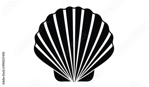 A striking black and white illustration depicts a detailed seashell form with radiating ridges and a curved edge a beautiful silhouette high quality professional