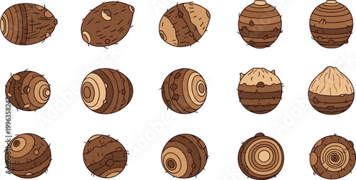 Set of Fresh Raw Taro Root Illustrations Featuring Whole Brown Corms with Textured Skin and Cross Sections for Healthy Nutrition Culinary Arts and Agricultural Designs