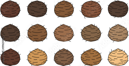 Set of Fresh Raw Taro Root Illustrations Featuring Whole Brown Corms With Textured Skin for Healthy Nutrition Culinary Arts and Agricultural Graphic Design Projects