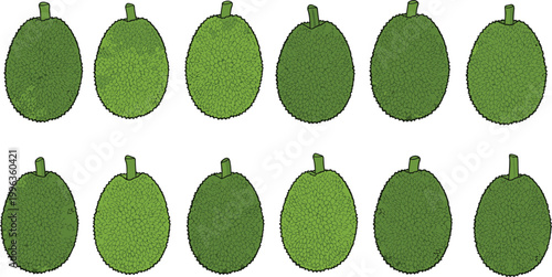 Schilderij op canvas Set of Fresh Raw Jackfruit Illustrations Featuring Whole Green Tropical Fruits W