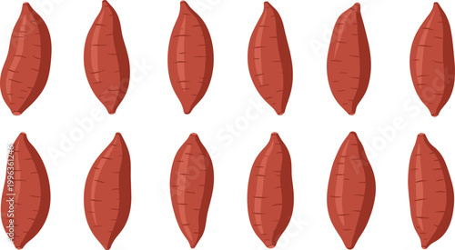 Foto Set of Raw Whole Sweet Potato Illustrations Featuring Reddish Brown Skin Tubers