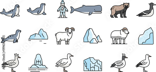 Arctic Wildlife Vector Set Featuring Illustrations Of Seals Whales Polar Bears Rams Icebergs And Birds For Northern Nature Conservation And Cold Climate Graphic Designs