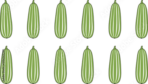 Set of Fresh Striped Zucchini Illustrations Featuring Diverse Sizes and Thin White Line Patterns for Healthy Organic Vegetable Harvest and Culinary Graphic Design Projects