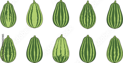 Set of Diverse Striped Pumpkin Illustrations Featuring Various Green Patterns and Pear Shapes for Healthy Organic Vegetable Harvest and Autumn Seasonal Graphic Design Projects