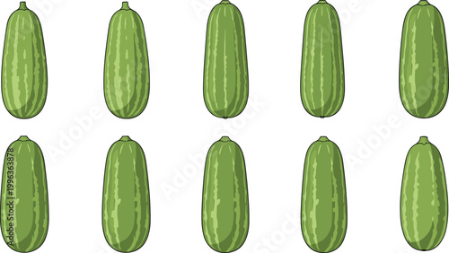 Set of Fresh Green Zucchini Illustrations Featuring Diverse Sizes and Striped Skin Patterns for Healthy Organic Vegetable Harvest and Culinary Graphic Design Projects