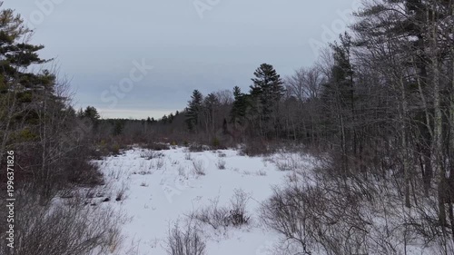 Aerial view featuring the woods around the Bellamy Reservoir in Madbury, New Hampshire