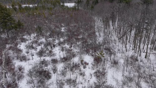 Aerial view featuring the woods around the Bellamy Reservoir in Madbury, New Hampshire